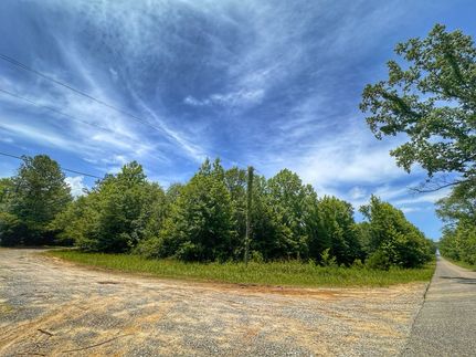 Land for sale in Sumter County, Alabama