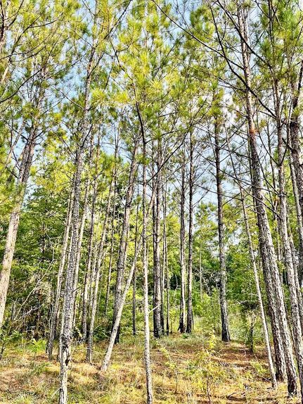 Farm and Ranch for sale in Bibb County, Georgia