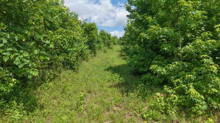 Recreational Property for sale in Morris County, Texas
