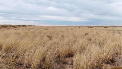 Farm and Ranch for sale in Lea County, New Mexico