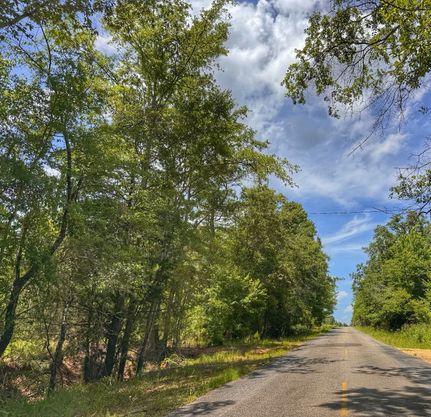Farm and Ranch for sale in Sumter County, Alabama
