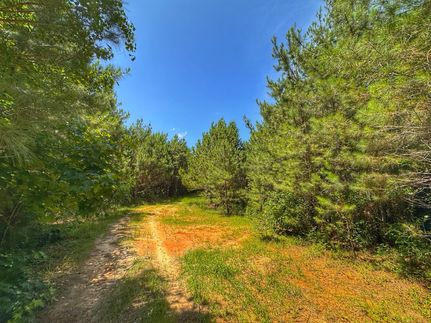 Recreational Property for sale in Sumter County, Alabama