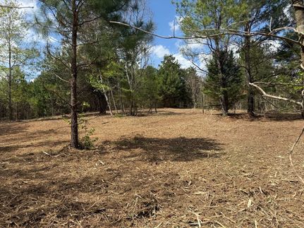 Recreational Property for sale in Montgomery County, Alabama