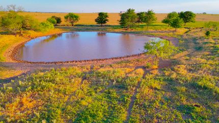 Timberland Property for sale in Montague County, Texas