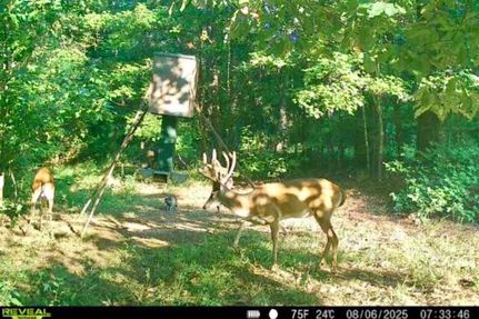 Timberland Property for sale in Jefferson County, Mississippi