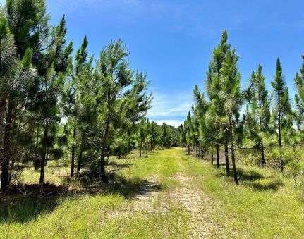 Timberland Property for sale in Pike County, Alabama