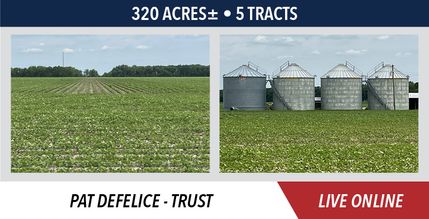 Timberland Property for sale in Sangamon County, Illinois
