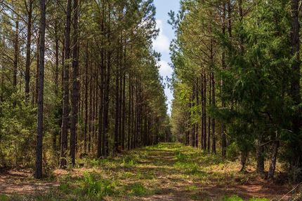 Farm and Ranch for sale in Holmes County, Florida