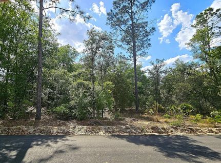 Recreational Property for sale in Pierce County, Georgia