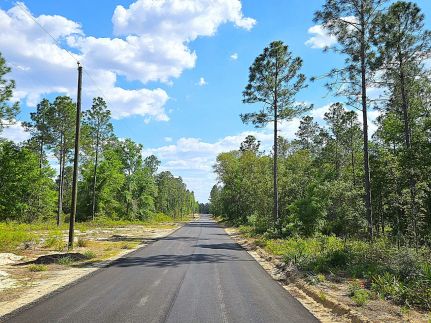 Recreational Property for sale in Pierce County, Georgia