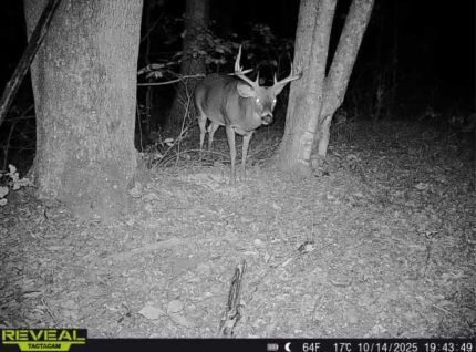 Hunting Property for sale in Scioto County, Ohio