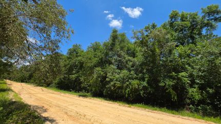 Undeveloped Land for sale in Putnam County, Florida