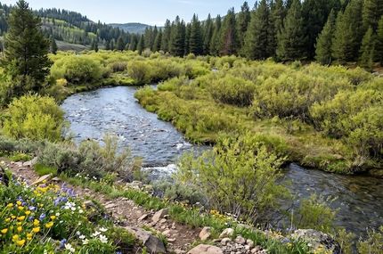 Commercial Property for sale in Albany County, Wyoming