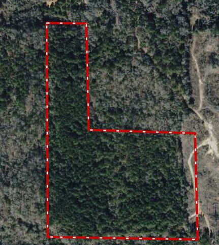 Land for sale in Sumter County, Alabama