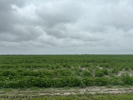 Farm and Ranch for sale in San Patricio County, Texas