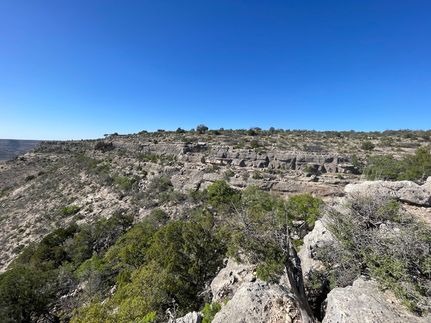 Timberland Property for sale in Crockett County, Texas