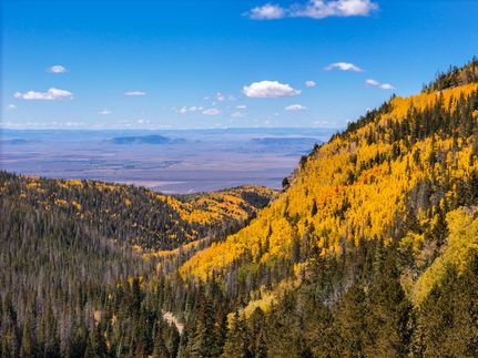 Timberland Property in Costilla County, Colorado