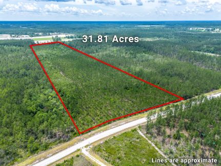 Timberland Property for sale in Ware County, Georgia