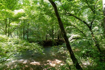 Riverfront Property for sale in Blount County, Alabama