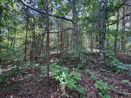 Homesite for sale in Stephens County, Georgia