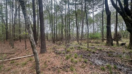 Land for sale in Jenkins County, Georgia