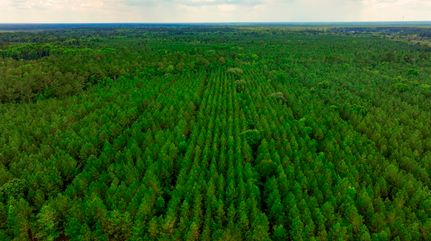 Recreational Property for sale in Bryan County, Georgia