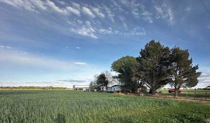 Farm and Ranch for sale in Debaca County, New Mexico