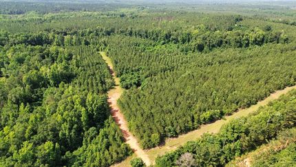 Undeveloped Land for sale in Randolph County, Georgia