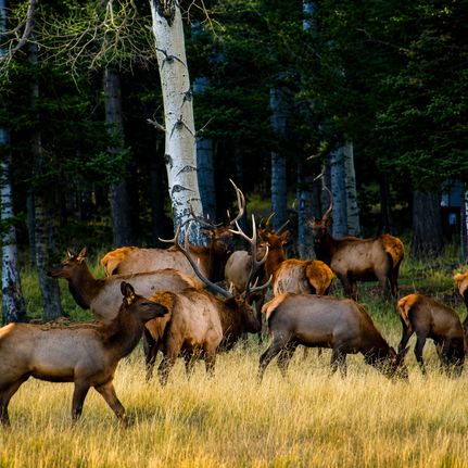 Farm and Ranch for sale in Costilla County, Colorado