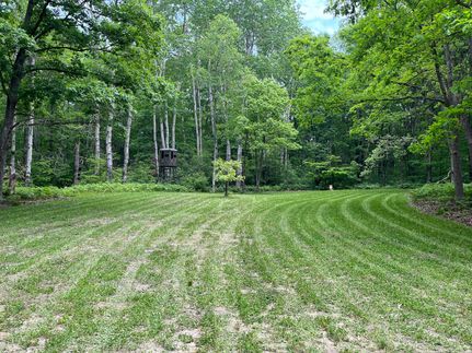 Land for sale in Newaygo County, Michigan