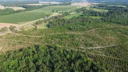 Timberland Property for sale in Pierce County, Georgia