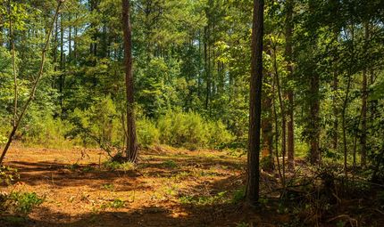 Farm and Ranch for sale in Bibb County, Alabama