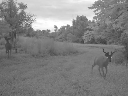 Farm and Ranch for sale in Brown County, Ohio