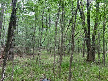 Undeveloped Land for sale in San Jacinto County, Texas