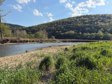 Hunting Property for sale in Steuben County, New York