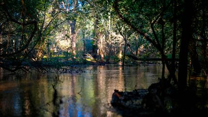 Farm and Ranch for sale in Atascosa County, Texas