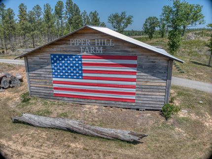 Undeveloped Land for sale in Anson County, North Carolina