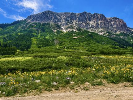 Farm and Ranch for sale in Gunnison County, Colorado