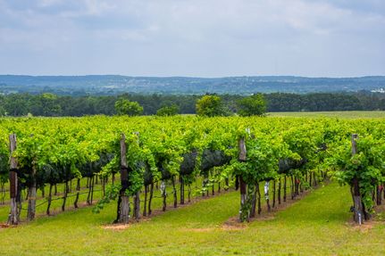 Timberland Property for sale in Gillespie County, Texas