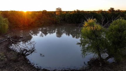 Land for sale in Young County, Texas