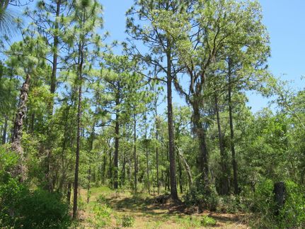 Recreational Property for sale in Marion County, Florida