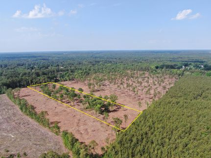 Timberland Property for sale in Scotland County, North Carolina