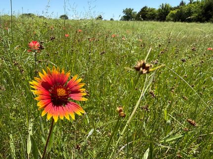 Farm and Ranch for sale in Pontotoc County, Oklahoma