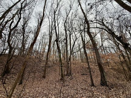 Land for sale in Saint Francis County, Arkansas