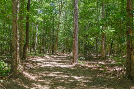 Land for sale in Bleckley County, Georgia