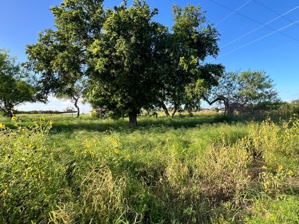 Farm and Ranch for sale in Cameron County, Texas