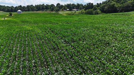 Land for sale in Henderson County, Kentucky
