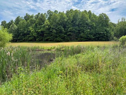 Land for sale in Wolfe County, Kentucky