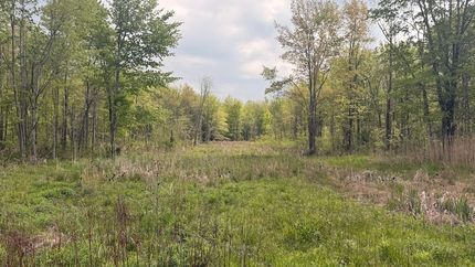 Farm and Ranch for sale in Ashtabula County, Ohio