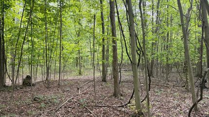 Farm and Ranch for sale in Ashtabula County, Ohio